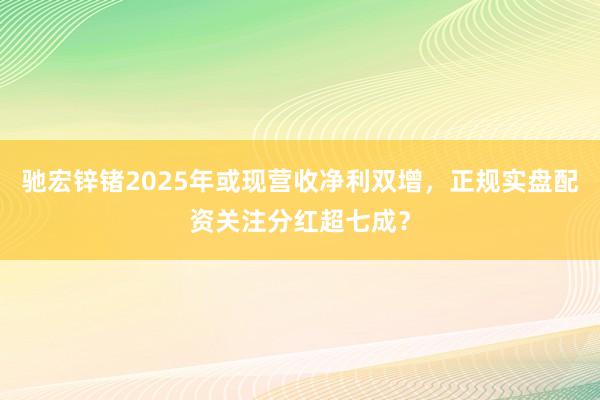 驰宏锌锗2025年或现营收净利双增，正规实盘配资关注分红超七成？