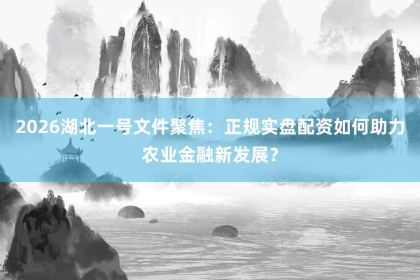 2026湖北一号文件聚焦：正规实盘配资如何助力农业金融新发展？