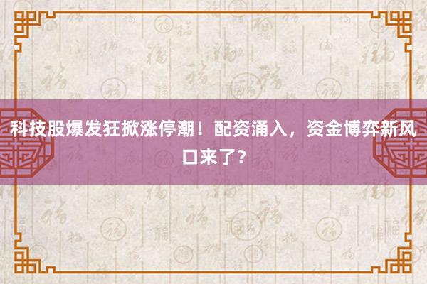科技股爆发狂掀涨停潮！配资涌入，资金博弈新风口来了？