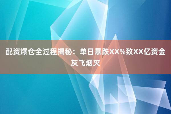配资爆仓全过程揭秘：单日暴跌XX%致XX亿资金灰飞烟灭