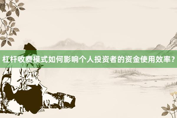 杠杆收费模式如何影响个人投资者的资金使用效率？