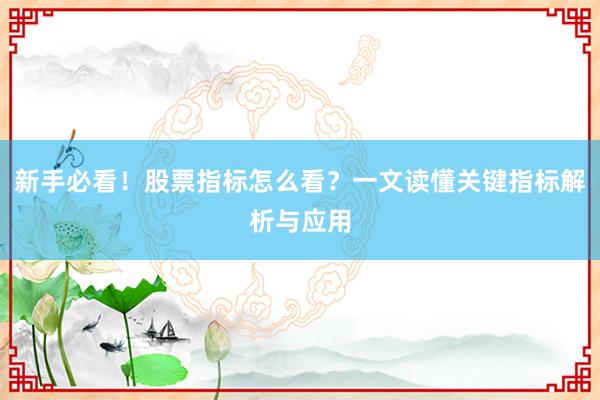 新手必看！股票指标怎么看？一文读懂关键指标解析与应用